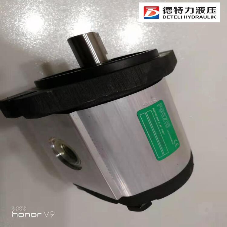 意大利羅茨ronzio單聯(lián)泵、雙聯(lián)泵、三聯(lián)泵、四聯(lián)泵